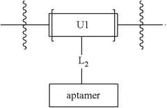Figure US09382290-20160705-C00002