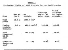 Figure imgf000060_0001