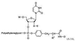 Figure imgf000025_0002