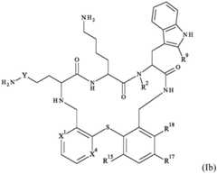 Figure FDA0003308108640000011