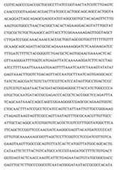 Figure 104109152-A0202-12-0109-52