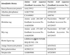 Figure imgf000028_0001