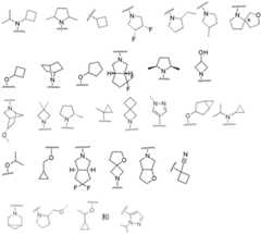 Figure FDA0002486010530000021