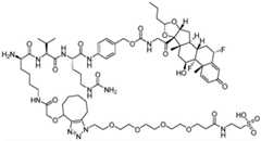 Figure BDA0002889616220003281