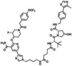 Figure BDA0002964098100002361