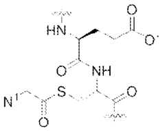 Figure imgf000076_0002
