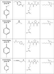 Figure imgf000309_0001