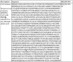 Figure imgf000146_0002