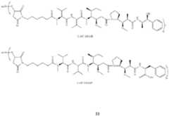 Figure imgf000034_0001