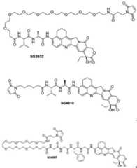 Figure imgf000010_0002