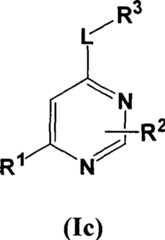 Figure A20048001543300161