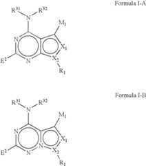 Figure US08476431-20130702-C00053