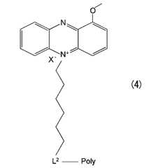 Figure JPOXMLDOC01-appb-C000017