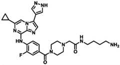 Figure BDA0002964098100001182