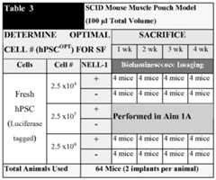 Figure imgf000036_0001