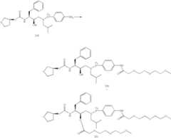 Figure US06436989-20020820-C00123