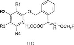 Figure A2005100602710002C2