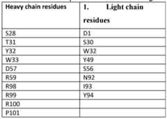 Figure imgf000082_0001