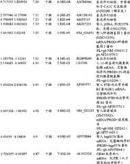 Figure BPA00001280678302851