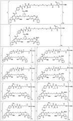 Figure BDA0003285627320001231