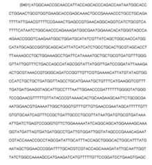 Figure imgf000112_0002