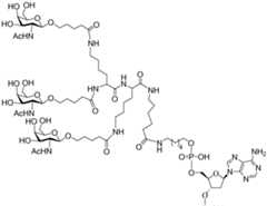 Figure imgf000183_0001