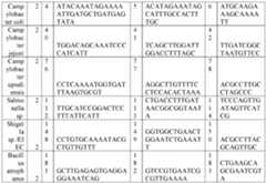 Figure imgf000018_0001