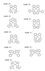 Figure G2009101683156D00381