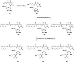 Figure BDA0003746740800002411