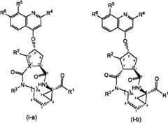 Figure BSA00000676350900121