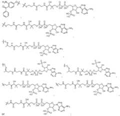 Figure imgf000231_0001