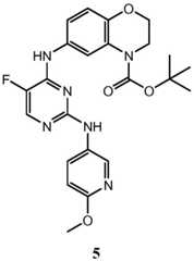 Figure BDA0001453135130001802