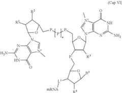 Figure US11737979-20230829-C00025