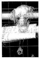 Figure 112005510106899-PCT00368