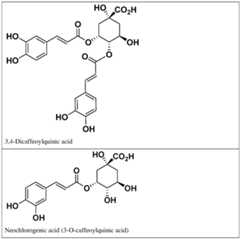 Figure imgf000007_0001