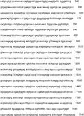 Figure IDA0002935257620000511