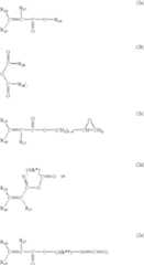 Figure US06465056-20021015-C00029