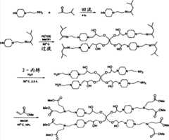 Figure S2005800492819D01301