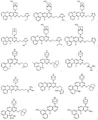 Figure imgf000032_0001