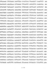 Figure imgf000131_0001