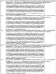 Figure BDA0004183790070000871