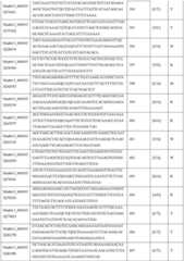 Figure DEST_PATH_IMAGE016