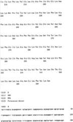 Figure IPA00001577376600141