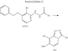 Figure US08716480-20140506-C00021