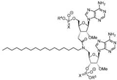 Figure imgf000175_0002