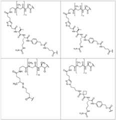 Figure imgf000067_0001