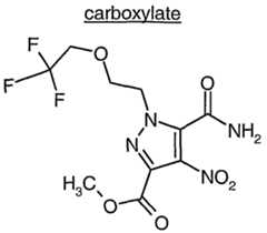 Figure imgf000245_0001