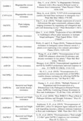 Figure PCTCN2022090268-appb-000080