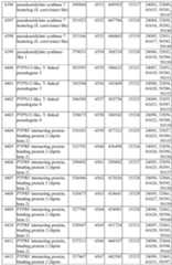 Figure imgf000493_0001