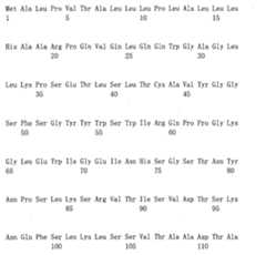 Figure 108124666-A0101-12-0171-411